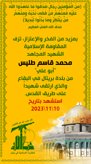 mohammad-tlees